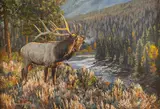 Bruce Miller, Highwood, oil on canvas
