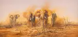 Gary Swanson, Elephants