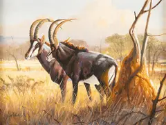 Grant Hacking, Sable and Ant Hill, oil on canvas