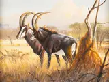 Grant Hacking, Sable and Ant Hill, oil on canvas