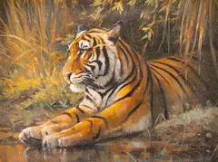 Grant Hacking, Tiger, oil on canvas