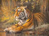 Grant Hacking, Tiger, oil on canvas