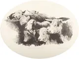 Robert Shufelt, Ladies and Gentlemen, graphite