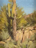 Matt Smith, Bulldog Saguaro