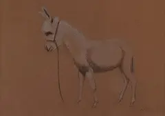 Albert Schmidt, Burro, mixed media