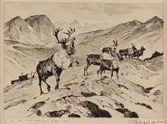 Above the Timberline by Carl Rungius, etching, offered Mar 2024
