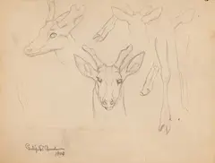 Deer by Philip Russell Goodwin, pencil drawing, offered Mar 2024