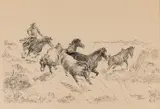William Standing, Wild Horses