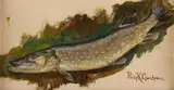 Philip Russell Goodwin, Pike - Fish Study, oil on canvas