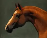 Leo Beaulaurier, Horse Head, oil on velvet