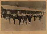 Frederic Remington, Cow Pony Pathos, pencil signature lower left $1,000-1,500