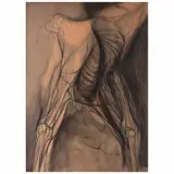 Torso by Arnold Belkin, 1962, Mixta sobre papel sobre masonite, offered Aug 2023
