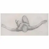 Luis Nishizawa, Estudio, Lápiz de grafito sobre papel