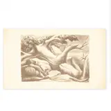 Abelardo Ávila, Untitled, Litografía
