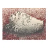 Carmen Parra, Untitled, Serigrafía PT / A