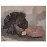 José Reyes Meza, Hongos
