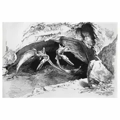 Untitled by Severo Amador, Tinta sobre papel, offered Apr 2023