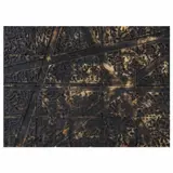 Adán Paredes, Untitled, Cerámica a la alta temperatura sobre madera