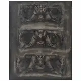 Francisco Toledo, Almohadas de Durero XLV