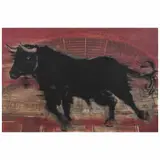 Carmen Parra, Toro bragado