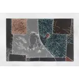 Guajolote by Francisco Toledo, Grabado al aguatinta I, offered Feb 2023