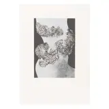 Arnaldo Coen, Untitled