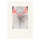 Arnaldo Coen, Untitled