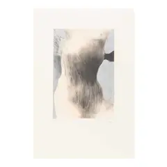Untitled by Arnaldo Coen, Litografía y serigrafía P / T, offered Feb 2023