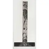 Untitled by Francisco Toledo, Grabado al aguafuerte y aguatinta P. A, offered Jan 2023