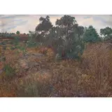 Nicolás Moreno, Untitled