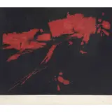 Kazuya Sakai, Untitled