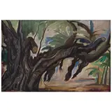 Raúl Anguiano, Árbol viejo, Óleo sobre tela