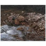 Armando Zesatti, Río, 2010, Acrílico sobre tela