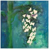 Carmen Parra, Untitled