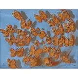 Carmen Parra, Mariposas