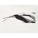 Jan Hendrix, Untitled, Serigrafía 25 / 30