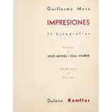 Guillermo Meza Álvarez, Impresiones subjetivas del libro sagrado de los antigüos mayas Chilam Balam de Chumayel, Litografías