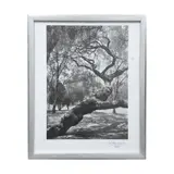 ÁRBOL (BOSQUE DE CHAPULTEPEC III SECCIÓN) by Juan Pablo Saavedra Olea, 2021, Fotografía, offered Apr 2022