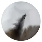 Homme volant by Lidó Rico, 2014, Mixta y resina de poliéster sobre madera, offered Apr 2022
