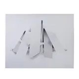 Kurt Larisch, White Shades, Serigrafía 6 /100