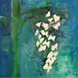Carmen Parra, Untitled