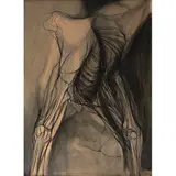 Arnold Belkin, Torso