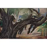 Raúl Anguiano, Árbol viejo, Óleo sobre tela