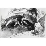 Severo Amador, Untitled, Tinta sobre papel