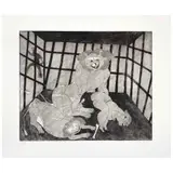 Untitled by Francisco Toledo, Grabado a la punta seca 9 / 25, offered Dec 2021