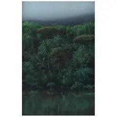 Tomás Sánchez, Antes de la tormenta, 1991, Acrílico sobre tela