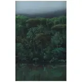 Tomás Sánchez, Antes de la tormenta, 1991, Acrílico sobre tela