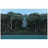 René Martín, Orilla tropical