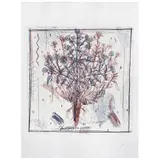 Demián Flores, Untitled, Grabado P / A