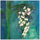 Carmen Parra, Untitled